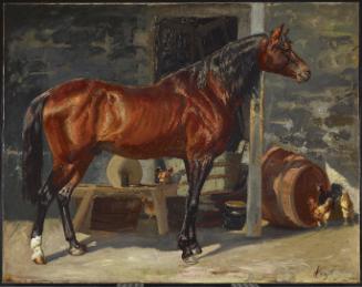 The Chestnut Stallion