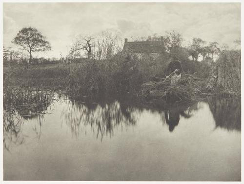 Quanting the Gladdon