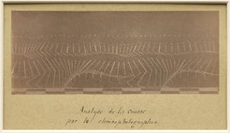 Chronophotographic analysis of a run