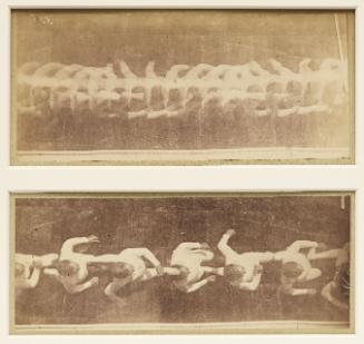 Two chronophotographic studies of the run taken from overhead