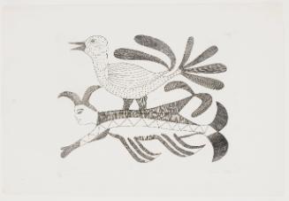 Sea Gull and Sea Spirit