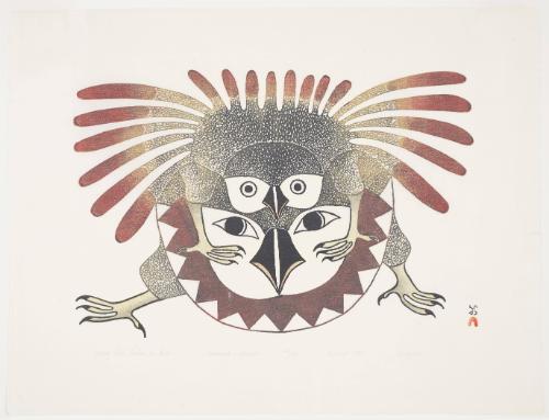 Young Owl Takes a Ride