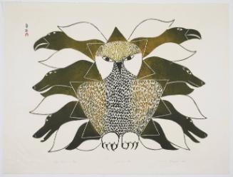 Owl, Ravens and Dogs