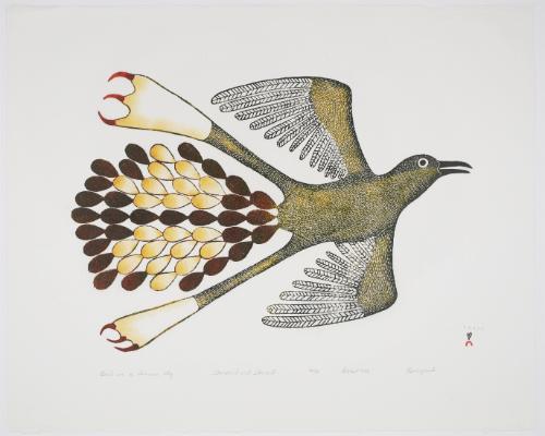 Bird in a Summer Sky