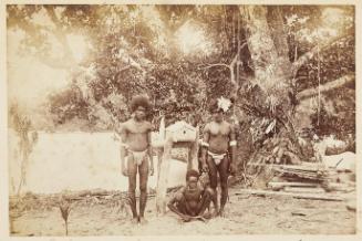 [Solomon Islands: Shrine containing the head of a chief]   from Oceanic Album