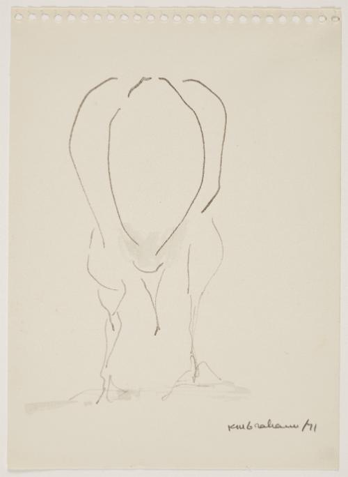 Baby gull pecking at ground