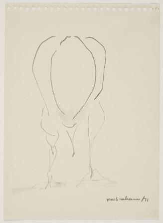 Baby gull pecking at ground