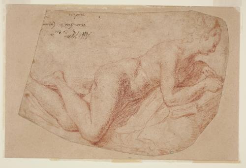 Nude Figure of a Woman (recto); Nude Figure of a Man wearing a Cape (verso)