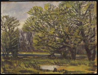 Willow Trees, Doon