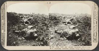 Realistic Travels: Volume I, Other Theatres, Last Battles on the Western Front and War’s End, # 112