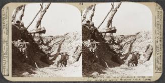 Realistic Travels: Volume I, Other Theatres, Last Battles on the Western Front and War’s End, # 82