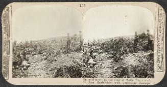 Realistic Travels: Volume II, Other Theatres, Last Battles on the Western Front and War’s End, # 115