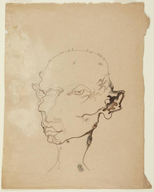 Pockmarked Face (recto); Open Jaws (verso)