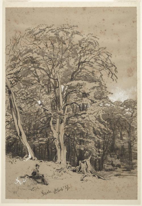 Seated Figure in the Park at Knole