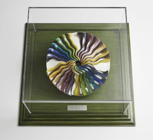 Elizabeth Blackwell test plate 