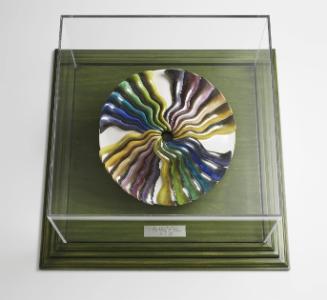 Elizabeth Blackwell test plate 