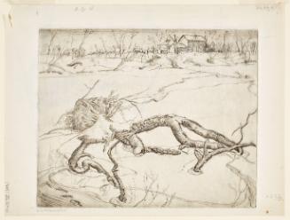 Fallen Tree (Uprooted Tree)