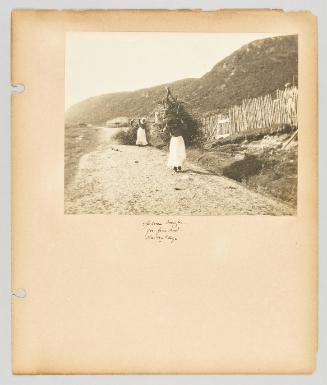 Spruce boughs for firewood, Hermitage. Page 34 of Newfoundland from Collection of Canadian albums compiled by Edith S. Watson
