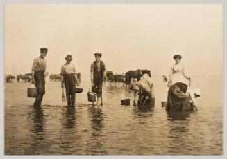 Clam digging, Le Bassin, Magdalen Is. Amherst Is. Photograph from Fish; from collection of Canadian albums compiled by Edith S. Watson, 1890s-1930s