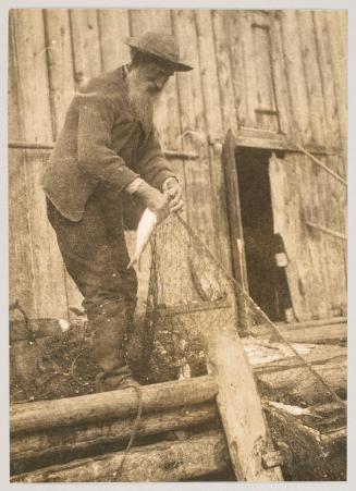 A good catch, Peggy's Cove, N.S. Photograph from Fish; from collection of Canadian albums compiled by Edith S. Watson, 1890s-1930s
