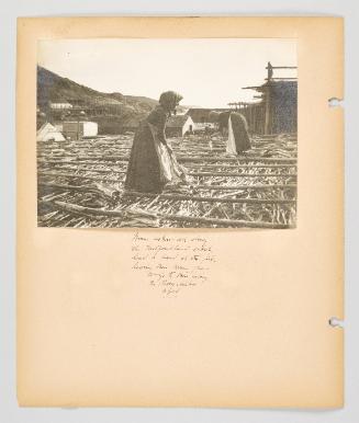 Women ashore all along the Newfoundland coast lend a hand at the fish, leaving their men free to go to their fishing. In Petty Harbor, Nfld. Page 42 of Fish; from collection of Canadian albums compiled by Edith S. Watson, 1890s-1930s