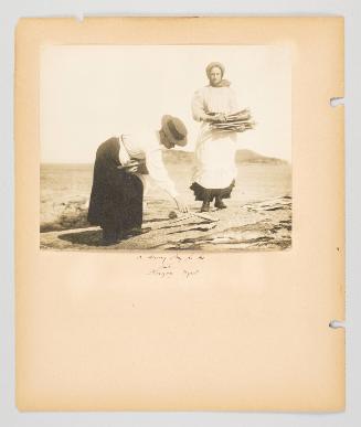 A sunny day for the fish, Burgeo, Nfld. Page 40 of Fish; from collection of Canadian albums compiled by Edith S. Watson, 1890s-1930s