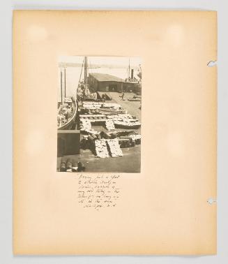 "Drying fish is glad to attach itself on dories, barrels, or any old thing in the wharf, so long as it's in the sun", Halifax, N.S. Page 12 of Fish; from collection of Canadian albums compiled by Edith S. Watson, 1890s-1930s