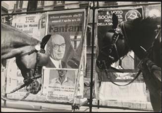 Two police horses waiting in front of political posters, one promoting Amintore Fanfani, the other the Socialist Party