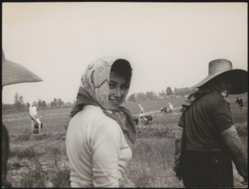 Women in hats and headscarves working on the fields in rural Italy