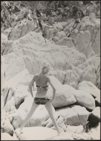 Summer Holidays on the coast