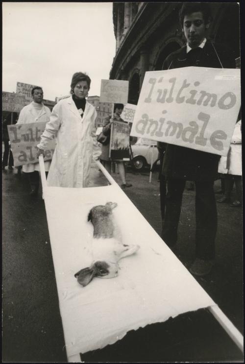 People protesting against animal testing and animal cruelty, dressed in white coats and carrying a dead rabbit on a stretcher
