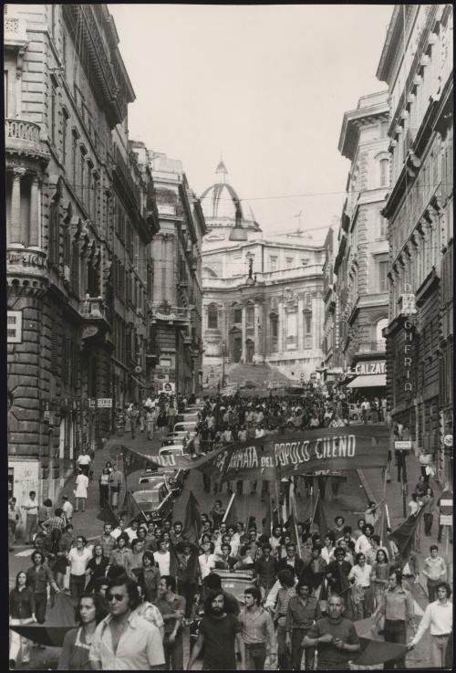 Pro Chile demonstration