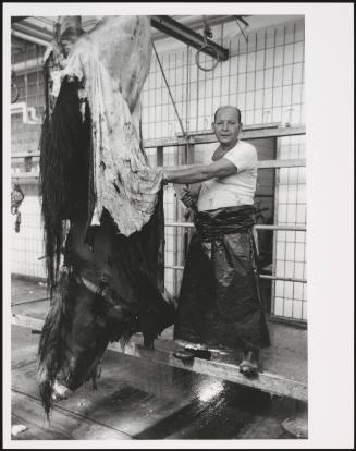 A horse being skinned in an abattoir 