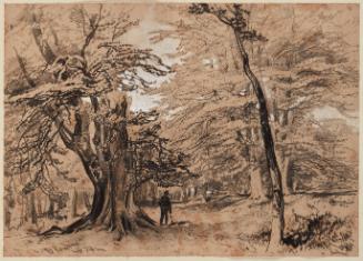 Figure Standing by Beech Tree, Knole