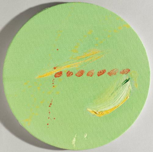 Timucua (Lost Tribes)