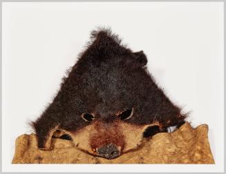 Documentation of the ritual process, stage 2.6