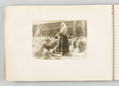 [Woman in headscarf standing with yarn and needles among sheaves of grain, page 32 of The Doukhobors I album]