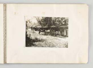 [Beekeeper tending to the bees, page 45 of The Doukhobors I album]