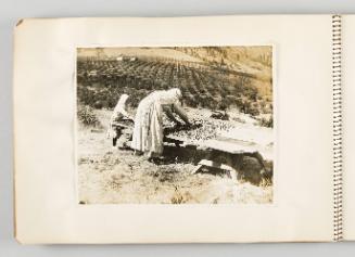 [Woman and child spreading nuts and berries on large work table, page 40 of The Doukhobors I album]