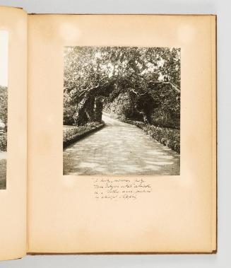 "A hedge enclosing Judge MacIntyre's estate culminates in a Gothic arch, produced by skillful clipping. [Page 21 of Victoria, BC album]