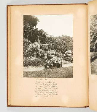In Victoria, hard lines in steps are smothered in masses of flowers planted in boxes, pots, or classic urns. This sweet custom reaches full development in Ms. Wilson's residence on the sloping lines of St. Charles street, Victoria, B.C. [page 20 of Victoria, BC album]