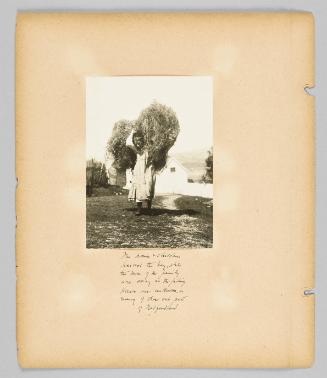The women + children harvest the hay while the men of the family are away at the fishing. Horses are unknown in many of these out-ports of Newfoundland [Page 14 of Children album]
