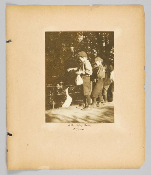 In the Public Garden, Halifax [Page 5 of Children album]
