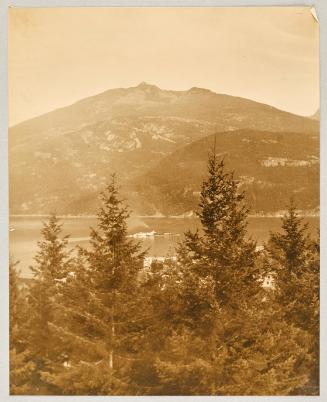 [View of lake from high vantage point overlooking evergreen trees and mountains in background]