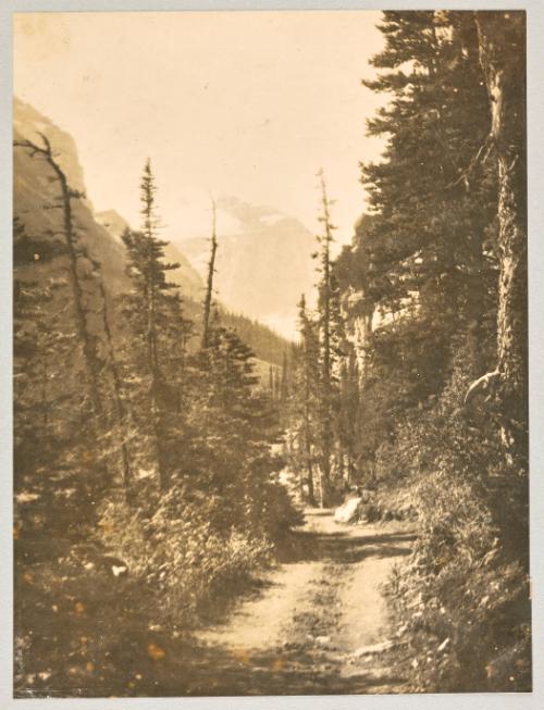 A mountain trail with two paths worn, Alberta. [Page 25 of Banff, Lake Louise album]