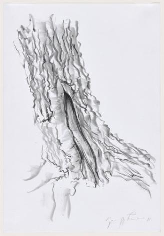 Biforcazione (Branching)