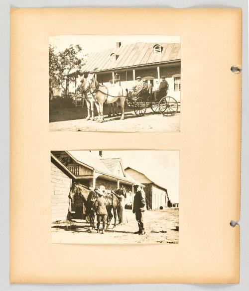 [Helpful horses] [Page 60 of The Doukhobors II album]