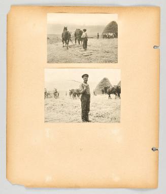 [People and horses working in a wheat field.] [Page 48 of The Doukhobors II album]