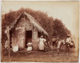Rural House, Jamaica