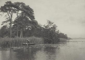 The Haunt of the Pike   Plate no.15 from "Life and Landscape on the Norfolk Broads"